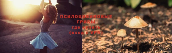 ALPHA-PVP Пестово