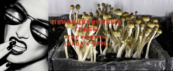 MESCALINE Алзамай