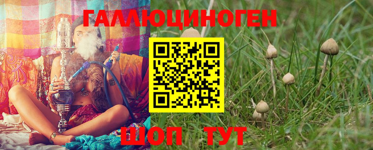Кондопога  где продают наркотики  Вход с VPN  Псилоцибиновые грибы Psilocybine cubensis 