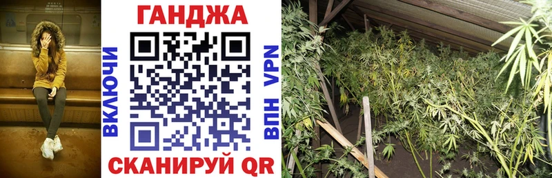MEGA зеркало  Кондопога  Бошки марихуана планчик 