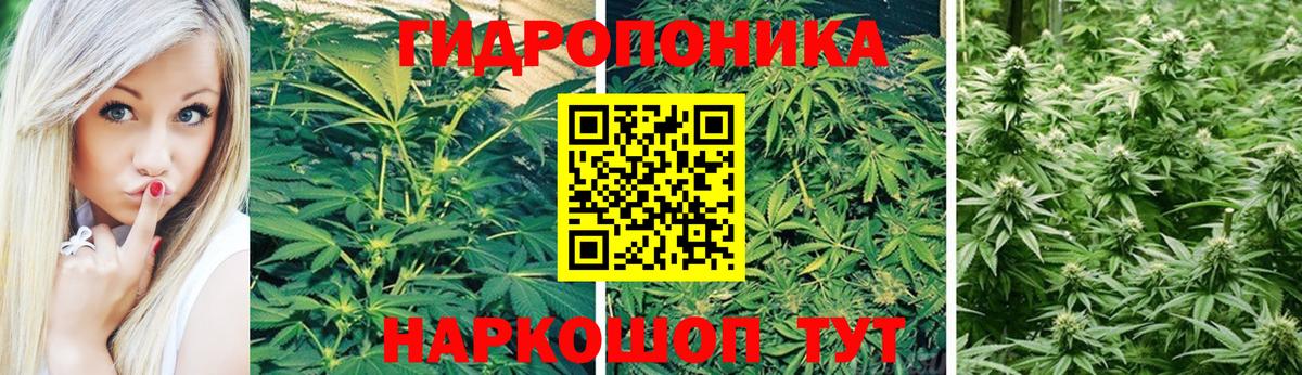 Каннабис VHQ Кондопога